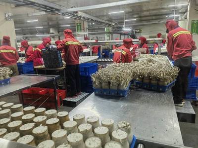 市農業農村局局長于靈才帶隊赴廈門開展招商引資 促進農業貿易合作