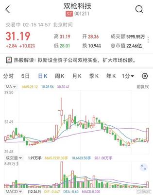 雙槍科技擬新設全資子公司雙槍實業，股價強勢漲停